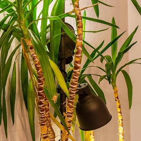 게스트하우스 Lx51 & By Iin - Center