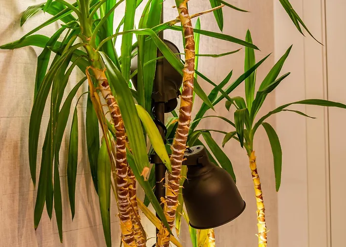 招待所 Lx51 Center By Iin